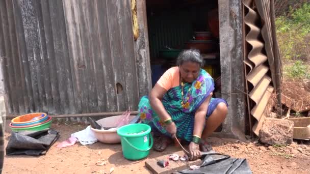 Women Selling Fish Street Market — Stock Video
