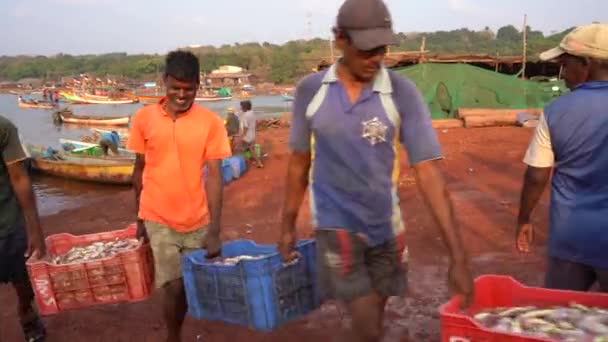 Sindhudurg Maharashtra India Marzo 2023 Ocupados Pescadores Traen Diariamente Pescado — Vídeo de stock