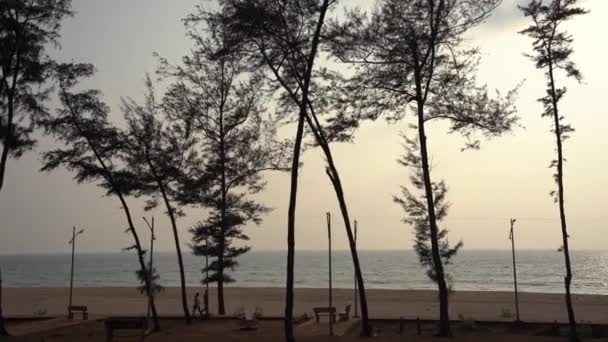 Hermosa Playa Costa Konkan Maharashtra India — Vídeos de Stock