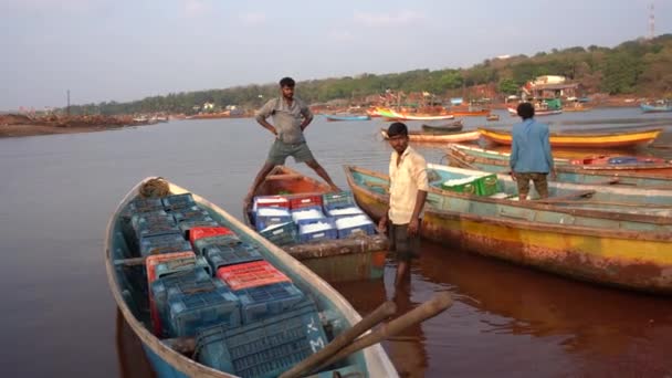 Sindhudurg Maharashtra Indien März 2023 Umtriebige Fischer Bringen Täglich Fisch — Stockvideo