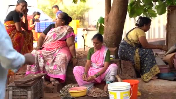 Ratnagiri Maharashtra India March 2023 Women Selling Fish Street Market — Stock Video