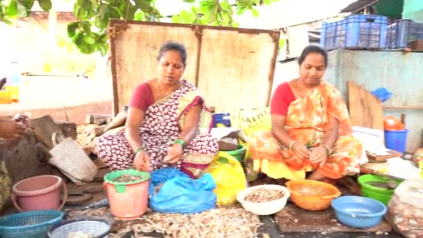 Ratnagiri Maharashtra Inde Mars 2023 Femmes Vendant Poisson Sur Marché — Video