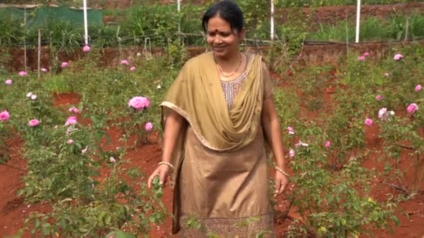 Mulher Feliz Jardim Rosas Índia — Vídeo de Stock