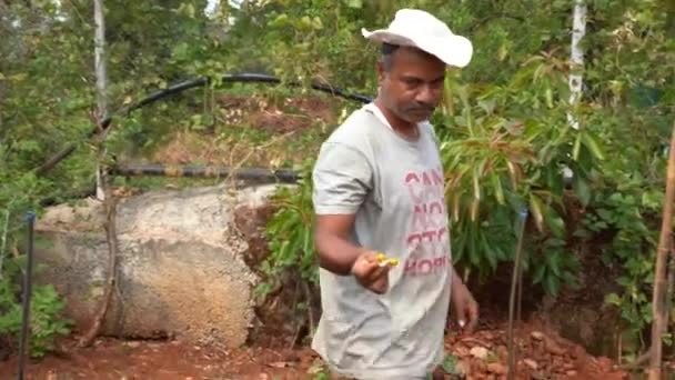 Mahabaleshwar Maharashtra India Maart 2023 Indiase Landbouwer Landarbeider Werkzaam Het — Stockvideo