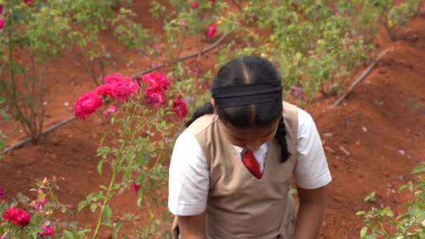 Écolière Dans Roseraie Inde — Video