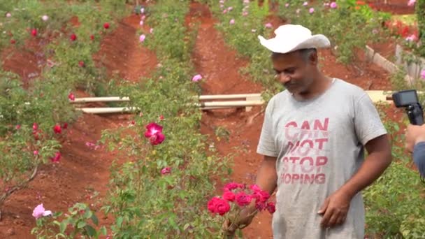 Mahabaleshwar Maharashtra Inde Mars 2023 Agriculteur Indien Main Œuvre Agricole — Video