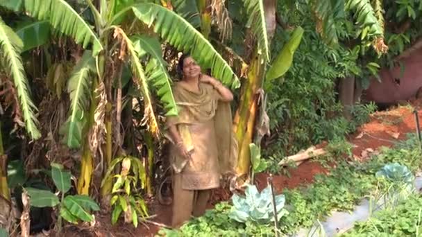 Жінка Працює Полуничній Фермі Махабалешвар Індія — стокове відео
