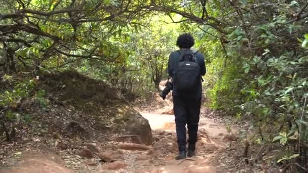 Τουριστικό Περπάτημα Κάμερα Στο Δάσος — Αρχείο Βίντεο