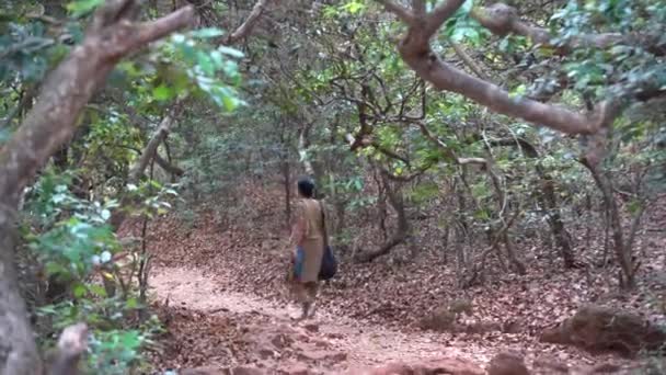 Tourist Walking Forest India — Stock Video