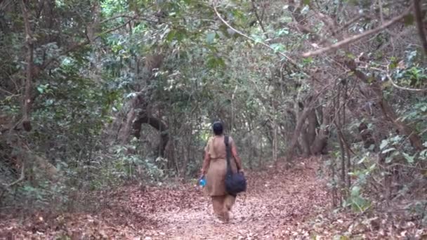Touristenspaziergang Wald Indien — Stockvideo