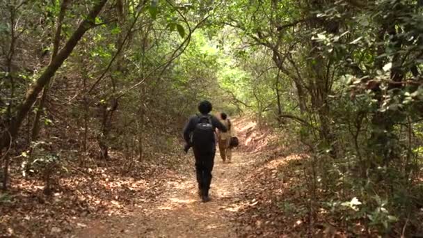 Туристична Прогулянка Камерою Лісі — стокове відео