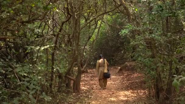 Touristenspaziergang Wald Indien — Stockvideo