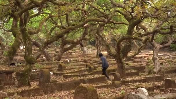 Turisti Kävelee Kameran Kanssa Metsässä — kuvapankkivideo