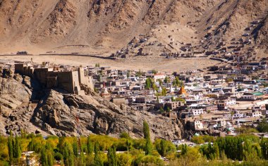 Leh şehir manzaralı Leh Palace, Leh, Ladakh, Hindistan