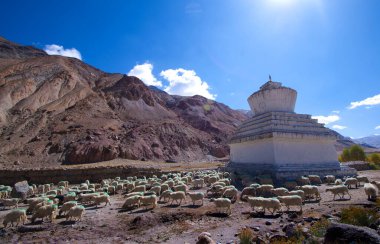 Lamayuru veya Yuru Gompa, Hindistan 'ın Batı Ladakh, Jammu ve Kashmir ilçelerinde bulunan Tibet Budist Gompa manastırıdır.