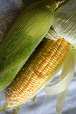 Beyaz arka planda tatlı mısır koçanları