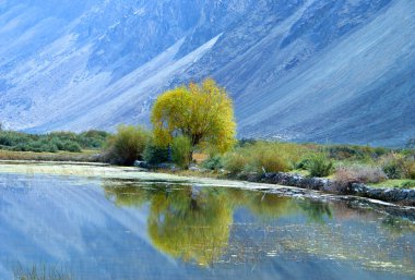 Himalaya manzarası. Ladakh, Hindistan
