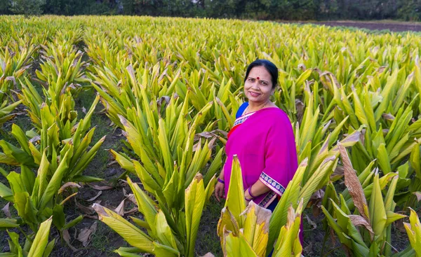 Happy Indian woman in traditional cloth at turmeric field.