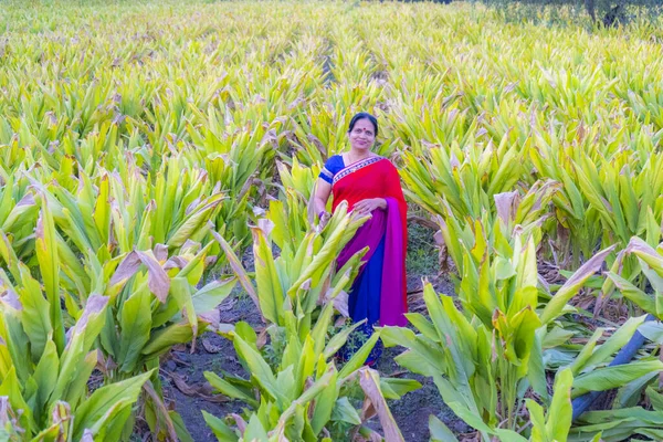 Happy Indian Woman Traditional Cloth Turmeric Field — Stock Photo, Image