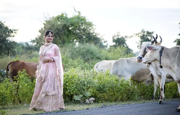 Indiase Bruid Traditionele Trouwjurk Met Koe — Stockfoto