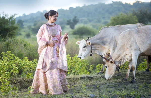 Indische Braut Traditionellen Brautkleid Mit Kuh — Stockfoto