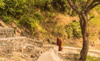 Budist keşiş, Hindistan 'daki Aurangabad Mağaralarını ziyaret etti.