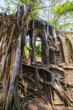 Andaman ve Nicobar Adaları 'ndaki Ross Adası' nda İngilizlerin kullandığı terk edilmiş ve harap bir ev.
