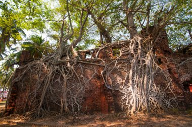 Andaman ve Nicobar Adaları 'ndaki Ross Adası' nda İngilizlerin kullandığı terk edilmiş ve harap bir ev.