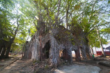 Andaman ve Nicobar Adaları 'ndaki Ross Adası' nda İngilizlerin kullandığı terk edilmiş ve harap bir ev.