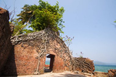 Andaman ve Nicobar Adaları 'ndaki Ross Adası' nda İngilizlerin kullandığı terk edilmiş ve harap bir ev.