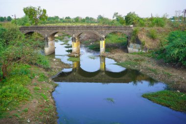 Nehir ya da göl kenarına atılmış plastik çöpler. Doğanın kirliliği, ekoloji kavramı
