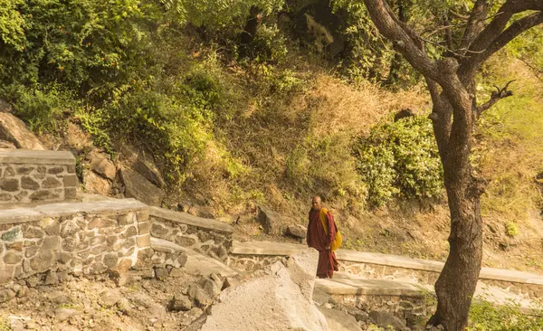Budist keşiş, Hindistan 'daki Aurangabad Mağaralarını ziyaret etti.