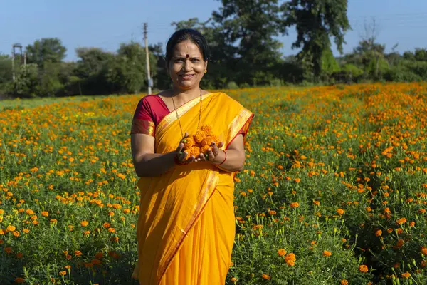 Kadife çiçeği tarlasında Hintli bir kadın ve doğanın tadını çıkarıyor..