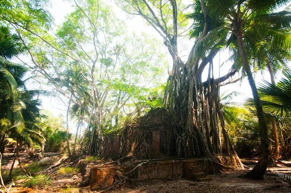 Opuštěný Zchátralý Dům Používaný Brity Rossově Ostrově Andamanu Nikobarských Ostrovech — Stock fotografie
