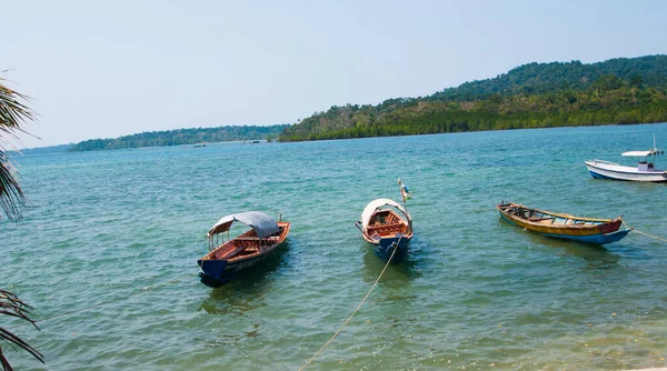 Vista Deslumbrante Praia Bela Árvore Água Mar Andaman Ilhas Nicobar — Fotografia de Stock