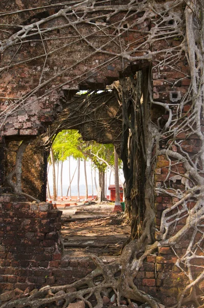 Andaman ve Nicobar Adaları 'ndaki Ross Adası' nda İngilizlerin kullandığı terk edilmiş ve harap bir ev.