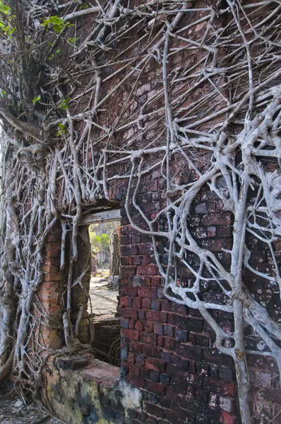 アンダマン島とニコバル諸島のインドでイギリス人が使用した放棄され希薄化された家 — ストック写真