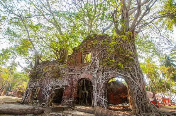 Andaman ve Nicobar Adaları 'ndaki Ross Adası' nda İngilizlerin kullandığı terk edilmiş ve harap bir ev.