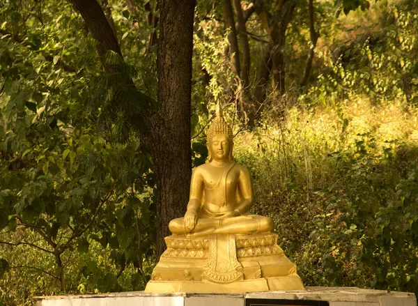 Прекрасная Статуя Золотого Будды Индии — стоковое фото