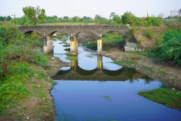 Nehir ya da göl kenarına atılmış plastik çöpler. Doğanın kirliliği, ekoloji kavramı