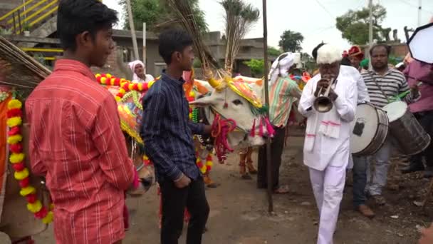 Amravati Maharashtra Września 2023 Rolnik Odznaczonym Bykiem Ulicy Podczas Festiwalu — Wideo stockowe
