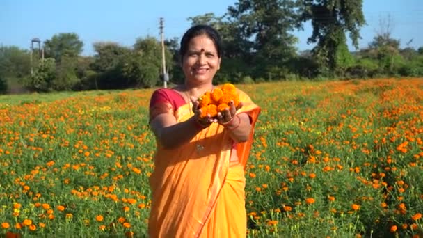 Щаслива Індійська Жінка Чорнобривці — стокове відео