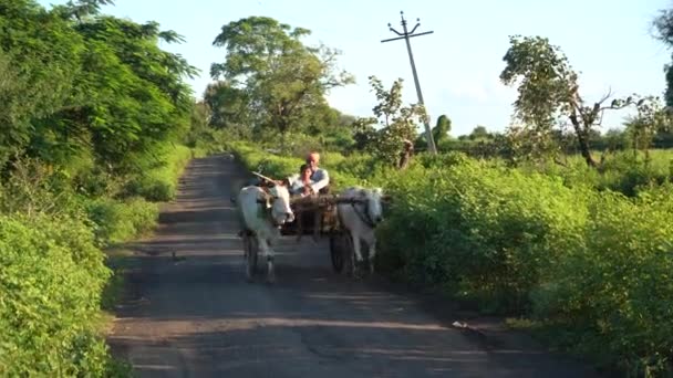 Village Road Morgonen Maharashtra Indien — Stockvideo