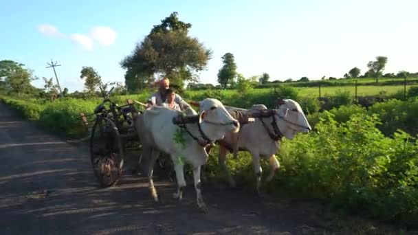 印度马哈拉施特拉邦上午的乡村道路 — 图库视频影像