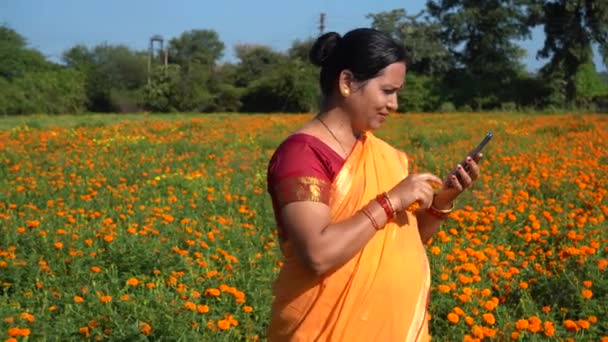 Gelukkige Indiase Vrouw Goudsbloem Veld — Stockvideo