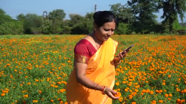 Счастливая Индийская Женщина Мэриголд Филд — стоковое видео