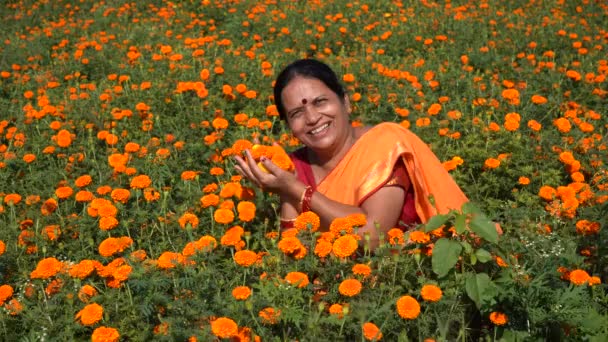 Šťastná Indiánka Marigold Field — Stock video