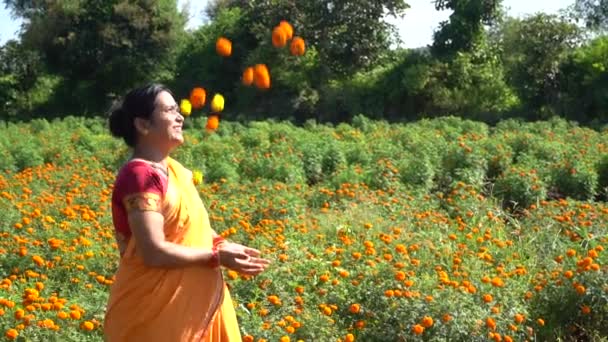 Heureuse Femme Indienne Dans Champ Souci — Video