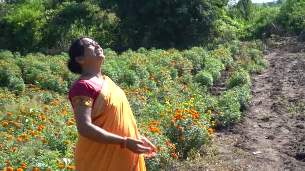 Heureuse Femme Indienne Dans Champ Souci — Video
