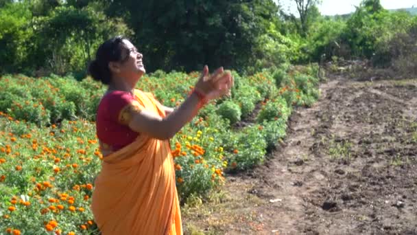 Щаслива Індійська Жінка Чорнобривці — стокове відео